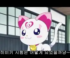 프리큐어) 적일 때보다 아군일 때 더 큰 데미지를 주는 프리큐어