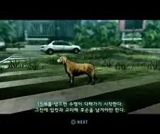 오로지 교미와 번식이 목적인 게임