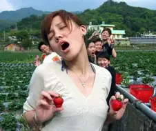 [블루아카] 고전 밈 딸녀 + 아스나