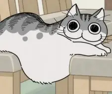 만화랑 애니도 귀엽지만 실물도 귀여운 고양이 큐르가
