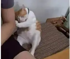 집사야! 발발발발!!