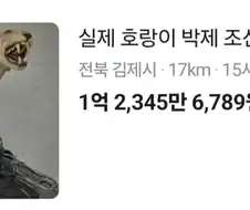 당근에 올라온 조선호랑이 박제품....