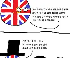 폴란드볼)단어의 성별을 구분하는 언어별 방법.jpg