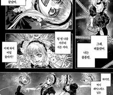 어느 인형 보자기회수하는 만화