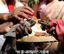 비 좀 내려주세요.jpg
