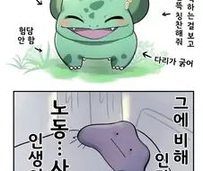 사람들이 포코피아에 영광하는이유