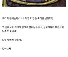 킹덤컴 시점의 체코가 병1신이 된 이유.jpg