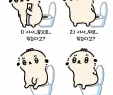 은근히 갈린다는 똥싸고 닦는 자세