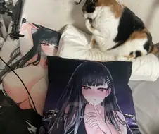 고양이) 베개 뺏김