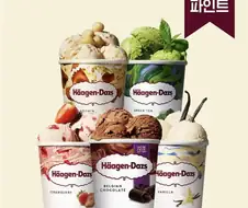 뭐 하겐다즈를 달라고?