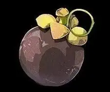 명조)으아악! 망고스틴!