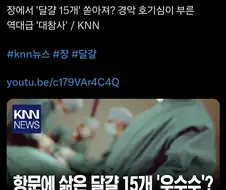 정떡은 아닌데 뉴스 기사는 읽어보는게 좋을것 같아서 올림...