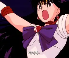 세일러 마스의 X침