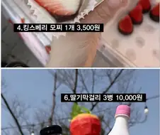 논산, 딸기 축제. 딸기음식 총 출격~!