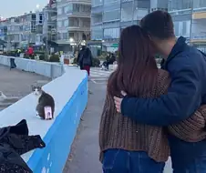 고양이 : .......................