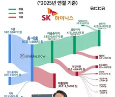 SK하이닉스는 이렇게 벌고 쓴다