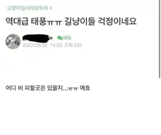 태풍에도 꺾이지 않는 캣맘들의 신념