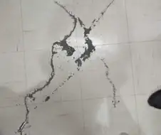 한반도를 먼지로 만든 자위대원