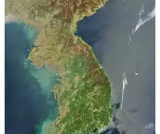 이새끼들이 진짜광기 죽음의 상인임