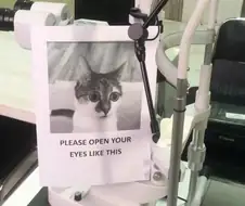 안압검사 특징