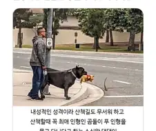 소심해서 인형이 있어야 하는 댕댕이