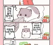 햄스터의 천국면접, 히마짱이 주는 세뱃돈.manhwa