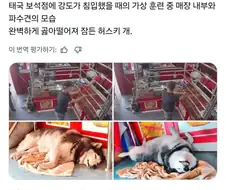 깅도가 들어온 보석점
