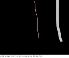 오버워치 신캐의 가슴에 대한 깊은 고찰