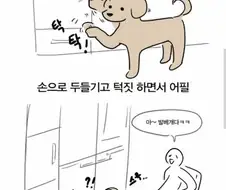 푸들의 높은 지능을 보여주는 만화