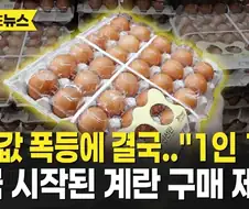 지금 이 시각 홍명보 감독이 좋아할만한 뉴스
