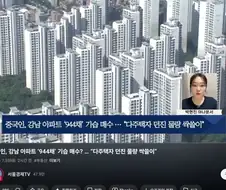 중국인, 강남 아파트 944채＇ 기습 매수..."다주택자 던진 물량 싹쓸이“