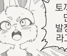 토끼가 상시 발정기라는걸 알게되는 만화