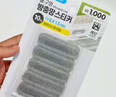 드디어 깔때기 거미,벼룩파리 안들어온다