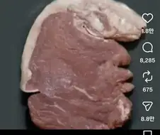 나만 이거 트럼프로 보이냐?