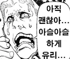 @) 짤로 보는 샤니애니 감상요약