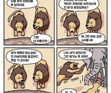 용감한 아빠사자