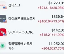 반도체 레버리지 청산당하면 천불날듯...