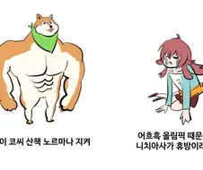 @) 올림픽 때문에 방송 안 해서 힘든 카호