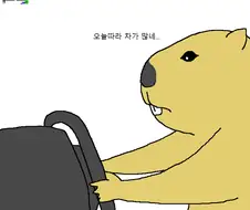 자동차 운전하는 만화.manga