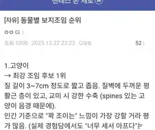 동물별 조임 순위.jpg