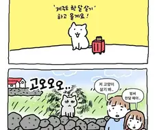 제주도 한 달 살기 하는 고양이.manhwa