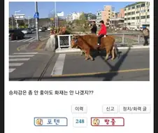 전기차 위험하대서 수소차 알아 보는데