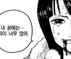 원피스)로빈이 내로남뷸이라 욕먹는이유