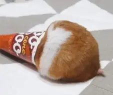 빵댕이가 검열이라니..
