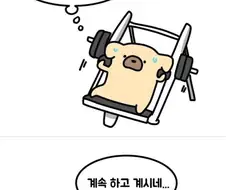 소심한 사람들 헬스장 특징