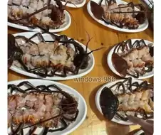 플레이팅이 생각보다 중요한 이유.jpg