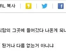원피스) 아...으....조로.... 만화에 대한 의문점