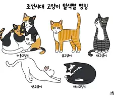 조선시대 털색깔별 고양이 명칭