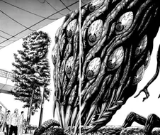 호러 만화의 초반과 후반