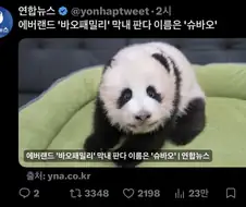 이어지는 바오의 의지